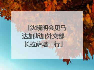 沈晓明会见马达加斯加外交部长拉萨塔一行