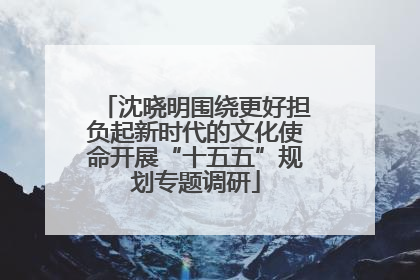 沈晓明围绕更好担负起新时代的文化使命开展“十五五”规划专题调研