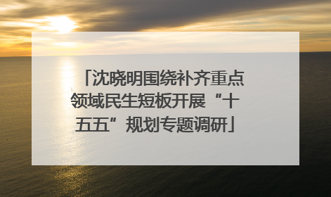 沈晓明围绕补齐重点领域民生短板开展“十五五”规划专题调研