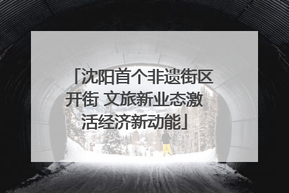 沈阳首个非遗街区开街 文旅新业态激活经济新动能