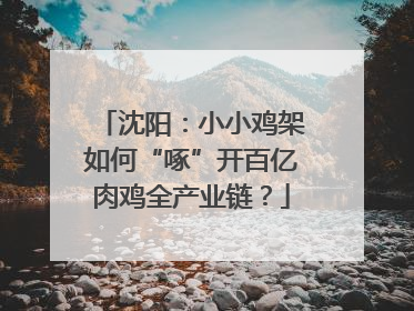沈阳：小小鸡架如何“啄”开百亿肉鸡全产业链？
