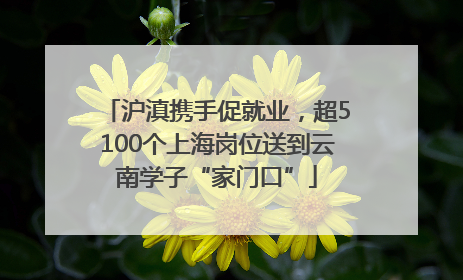 沪滇携手促就业，超5100个上海岗位送到云南学子“家门口”