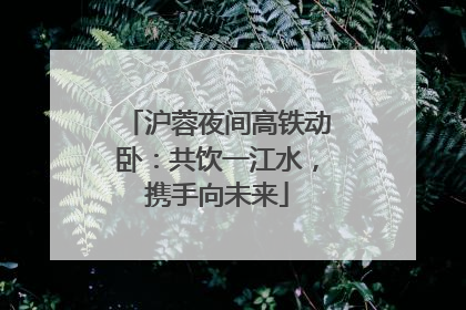 沪蓉夜间高铁动卧：共饮一江水，携手向未来