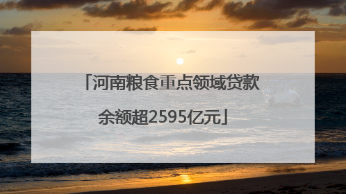 河南粮食重点领域贷款余额超2595亿元