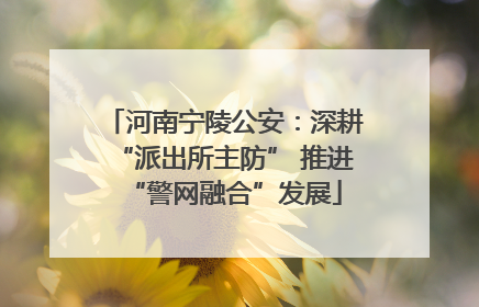 河南宁陵公安:深耕“派出所主防” 推进“警网融合”发展