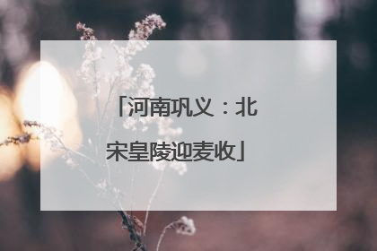 河南巩义：北宋皇陵迎麦收