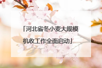 河北省冬小麦大规模机收工作全面启动