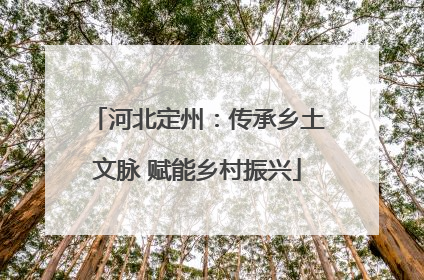 河北定州：传承乡土文脉 赋能乡村振兴