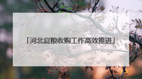 河北夏粮收购工作高效推进