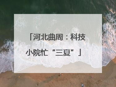 河北曲周：科技小院忙“三夏”