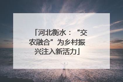 河北衡水：“交农融合”为乡村振兴注入新活力