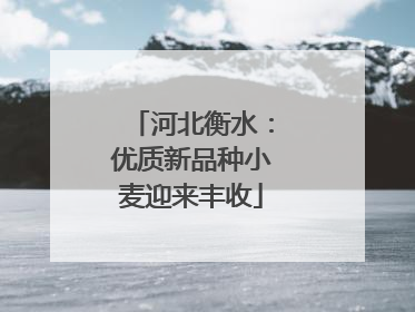 河北衡水：优质新品种小麦迎来丰收