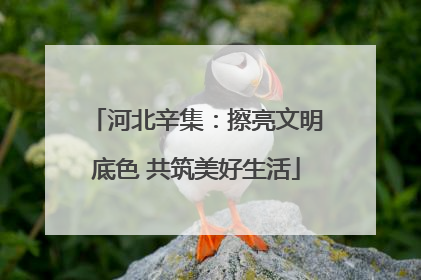 河北辛集：擦亮文明底色 共筑美好生活