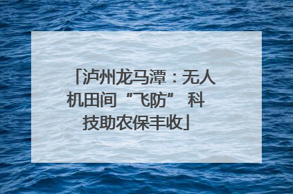 泸州龙马潭：无人机田间“飞防” 科技助农保丰收