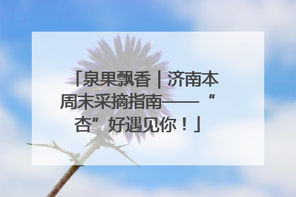 泉果飘香｜济南本周末采摘指南——“杏”好遇见你！