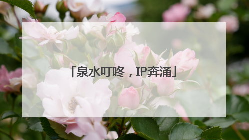 泉水叮咚，IP奔涌