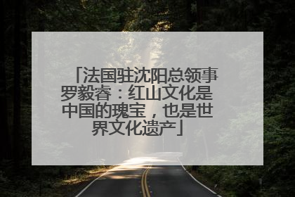 法国驻沈阳总领事罗毅睿：红山文化是中国的瑰宝，也是世界文化遗产