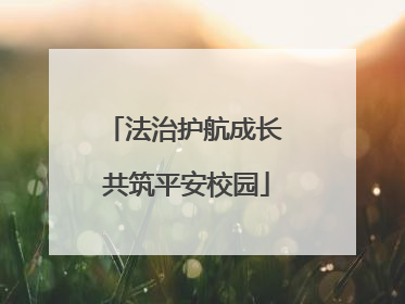 法治护航成长 共筑平安校园