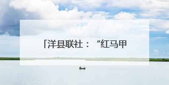 洋县联社：“红马甲”点亮银发餐厅 金融暖延伸惠民末梢
