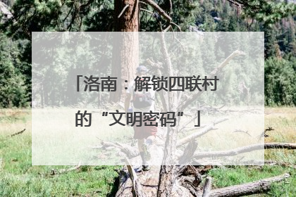 洛南：解锁四联村的“文明密码”