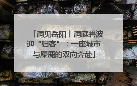 洞见岳阳丨洞庭碧波迎“归客”：一座城市与麋鹿的双向奔赴