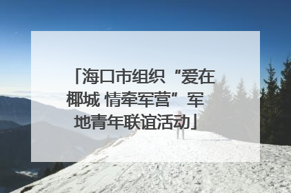海口市组织“爱在椰城 情牵军营”军地青年联谊活动