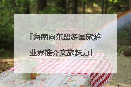 海南向东盟多国旅游业界推介文旅魅力