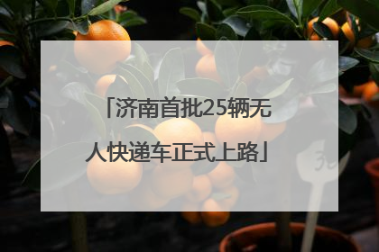 济南首批25辆无人快递车正式上路