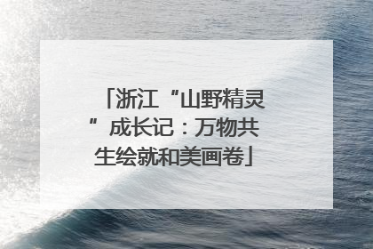 浙江“山野精灵”成长记：万物共生绘就和美画卷