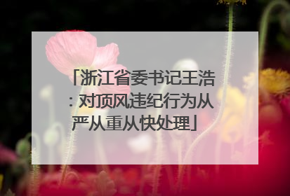 浙江省委书记王浩：对顶风违纪行为从严从重从快处理