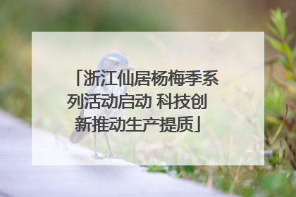 浙江仙居杨梅季系列活动启动 科技创新推动生产提质