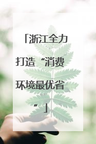 浙江全力打造“消费环境最优省”