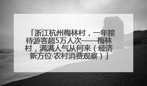 浙江杭州梅林村，一年接待游客超5万人次——梅林村，满满人气从何来（经济新方位·农村消费观察）