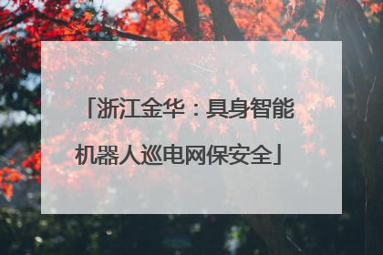 浙江金华：具身智能机器人巡电网保安全