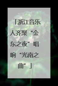 浙江音乐人齐聚“金东之夜”唱响“光南之曲”