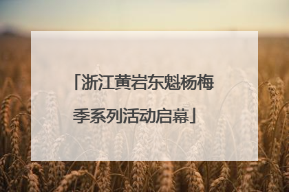 浙江黄岩东魁杨梅季系列活动启幕