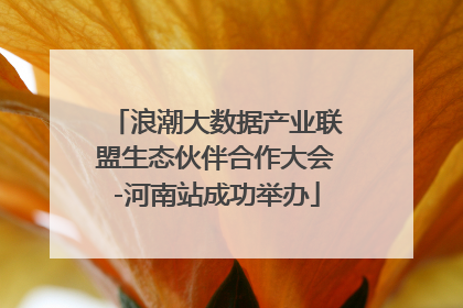浪潮大数据产业联盟生态伙伴合作大会-河南站成功举办