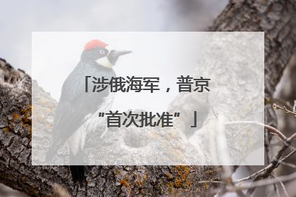涉俄海军，普京“首次批准”
