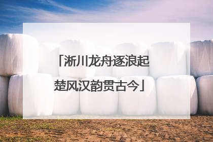 淅川龙舟逐浪起 楚风汉韵贯古今