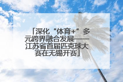 深化“体育+”多元跨界融合发展——江苏省首届匹克球大赛在无锡开赛