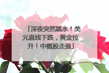 深夜突然跳水！美元直线下跌，黄金拉升！中概股走强