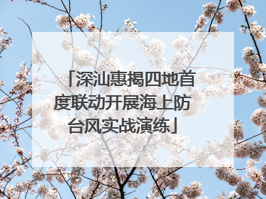 深汕惠揭四地首度联动开展海上防台风实战演练