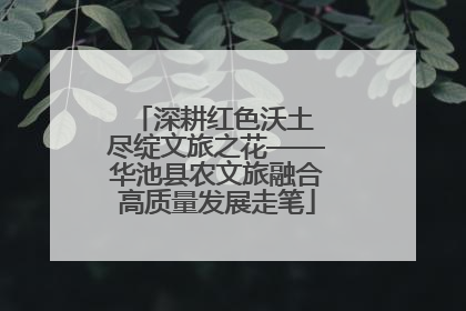 深耕红色沃土 尽绽文旅之花——华池县农文旅融合高质量发展走笔