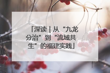 深读｜从“九龙分治”到“流域共生”的福建实践