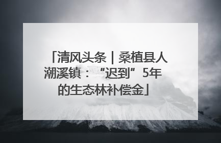 清风头条｜桑植县人潮溪镇：“迟到”5年的生态林补偿金