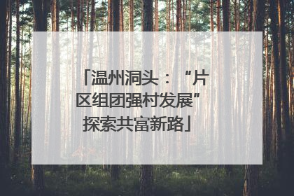 温州洞头：“片区组团强村发展”探索共富新路