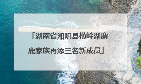 湖南省湘阴县横岭湖麋鹿家族再添三名新成员