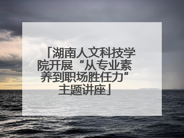 湖南人文科技学院开展“从专业素养到职场胜任力”主题讲座