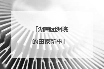 湖南团洲垸的田家新事