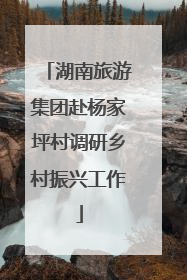 湖南旅游集团赴杨家坪村调研乡村振兴工作